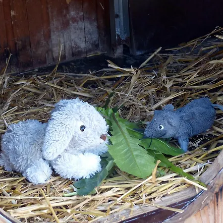 Hébergement de vacances Omi-zingst - Haus Dora *